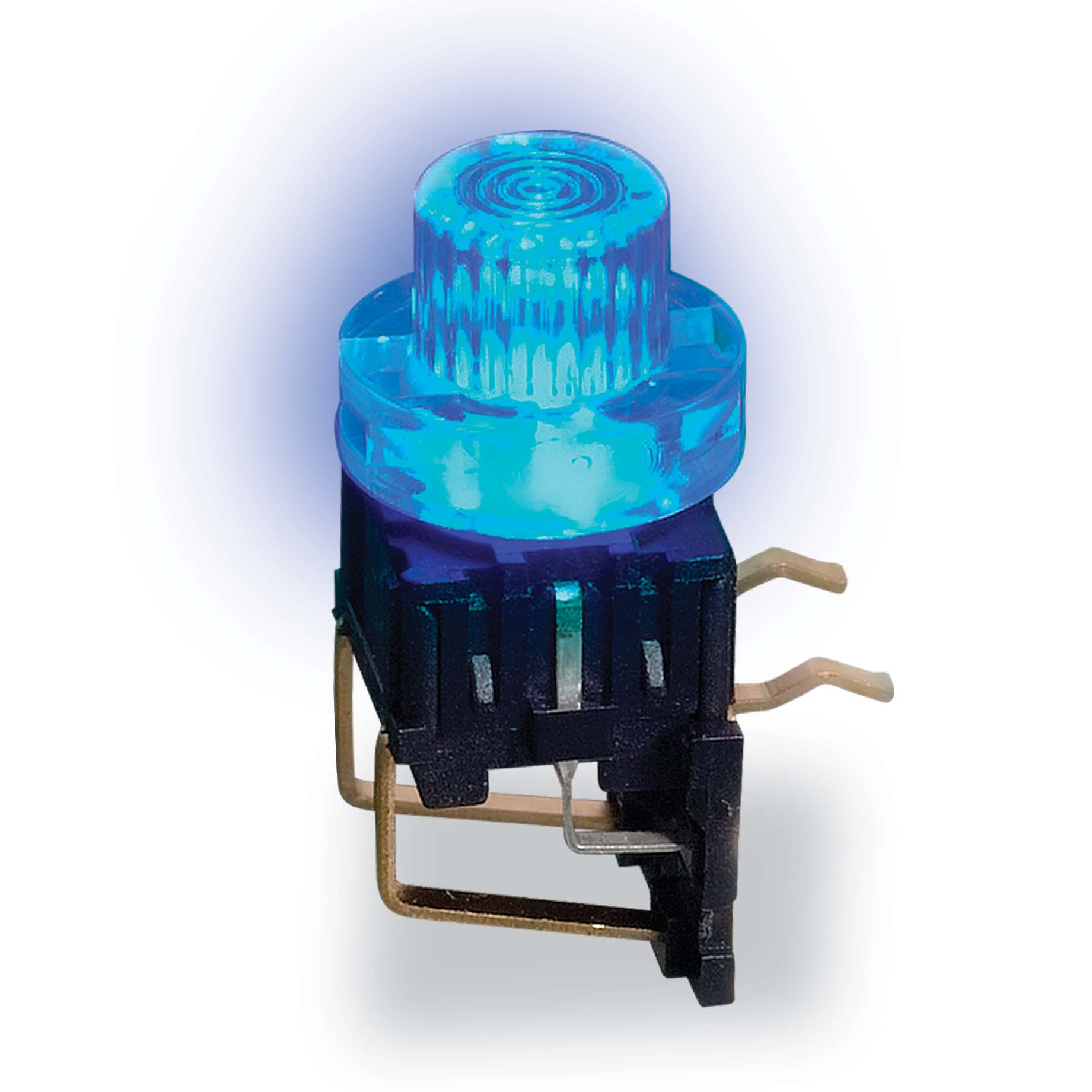 TL1250 Series Illuminated, Through Hole Right Angle Tactile Switch