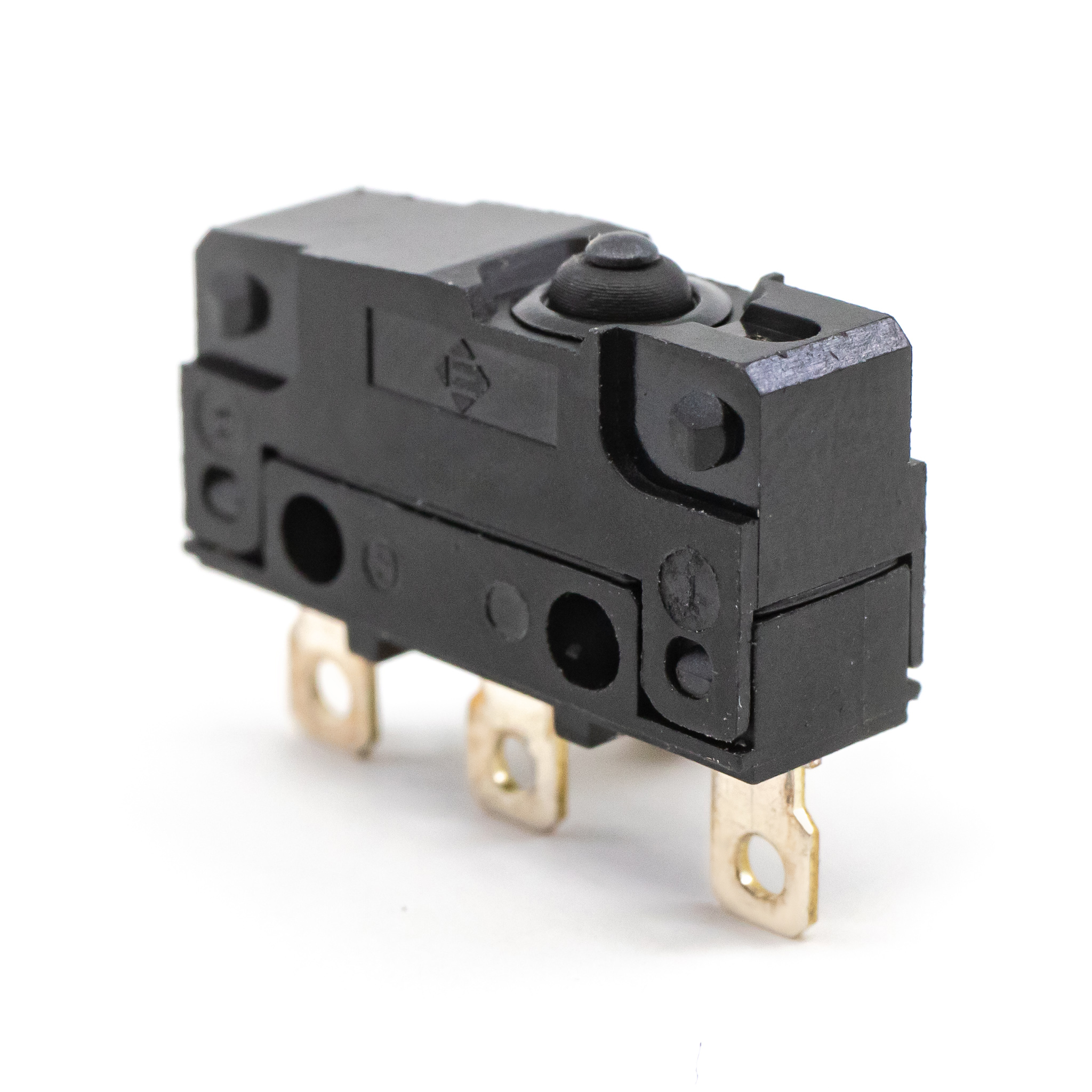 WS2 Series Sealed Snap Action Switch